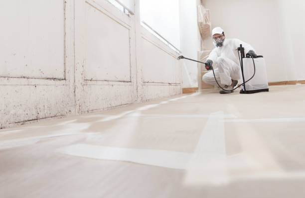 24/7 Emergency Mold Testing experts in Carrsville, VA