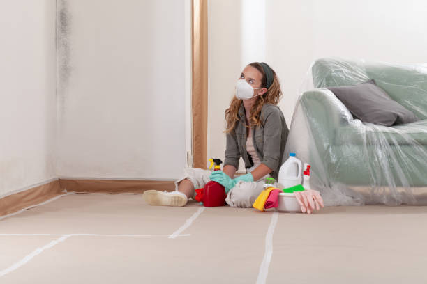 Reliable Mold Cleanup contractor in Carrsville, VA by Cheap Mold Removal