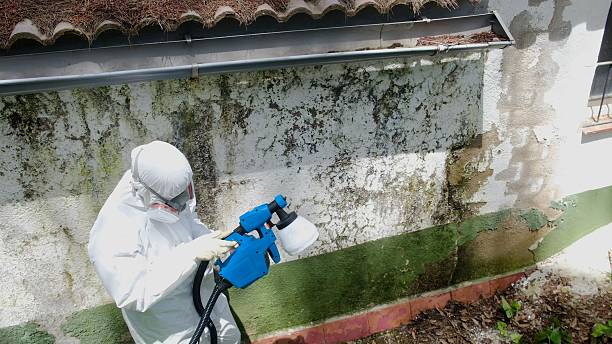 Trusted Mold Testing service in Carrsville, VA - Cheap Mold Removal